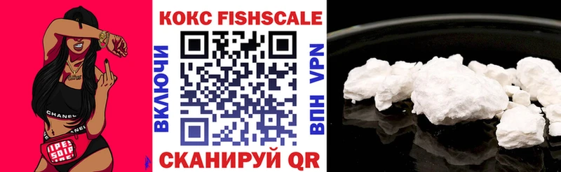 купить наркотики цена  Заинск  Кокаин Fish Scale 