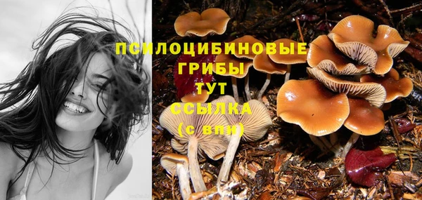 jwh Ельня