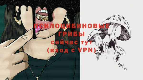 прущий лед Елизово