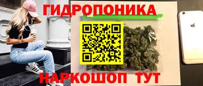 spice Владивосток
