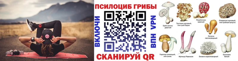 Галлюциногенные грибы мухоморы  Заинск 