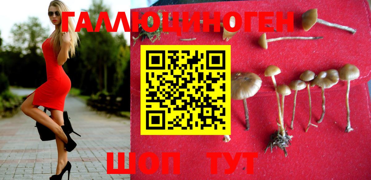 Галлюциногенные грибы Magic Shrooms  Вход с VPN  Заинск  Псилоцибиновые грибы ЛСД 